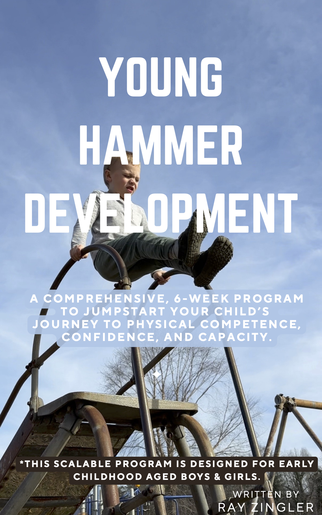 Purchase Young Hammer Development - Zingler Strength & Speed